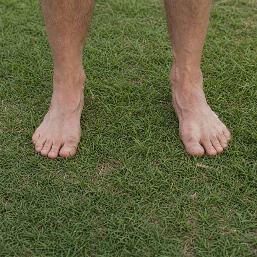 Bare feet standing on grass, toes spread