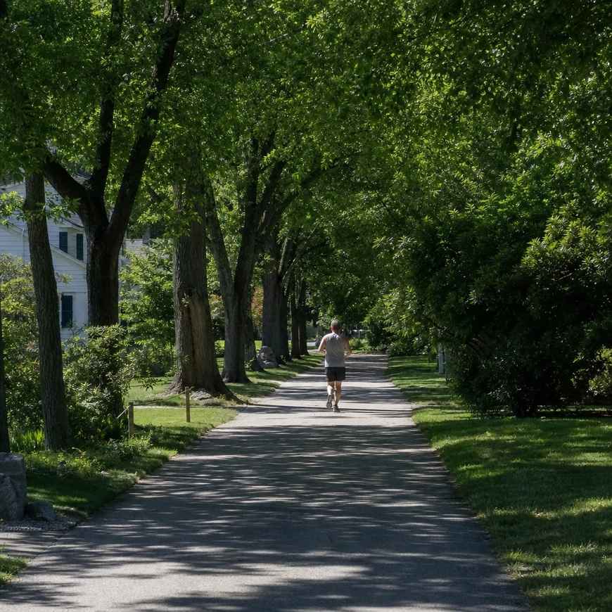 A shaded tree-lined neighborhood path in summer